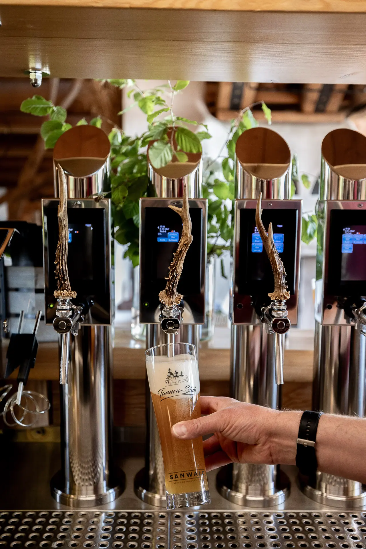Tannen-Stub in Loßburg-Ödenwald - Foto zeigt, wie ein Weizen gezapft wird